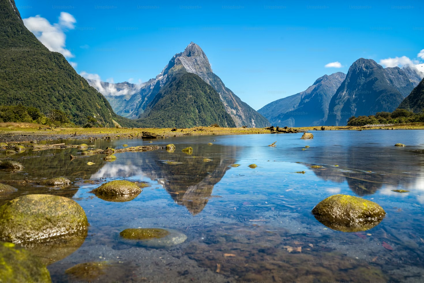 Why New Zealand?